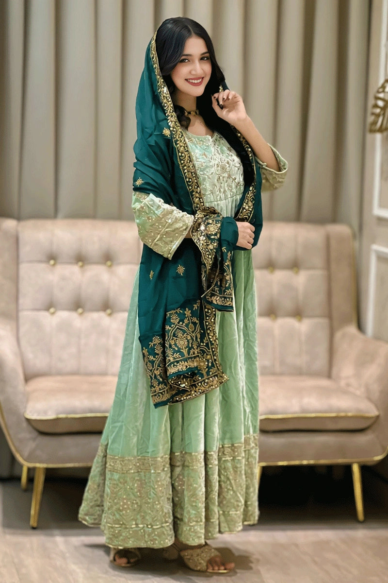 Winter Special Light Green Velvet Anarkali Gown With Dupatta