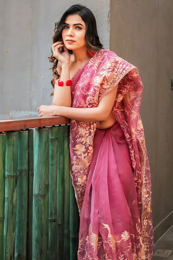 Buy All New Pure Organza Saree Blouse Designs For Girls In 2022