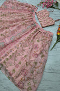 Baby Pink Lehenga Choli 