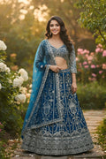Butterfly net lehenga choli