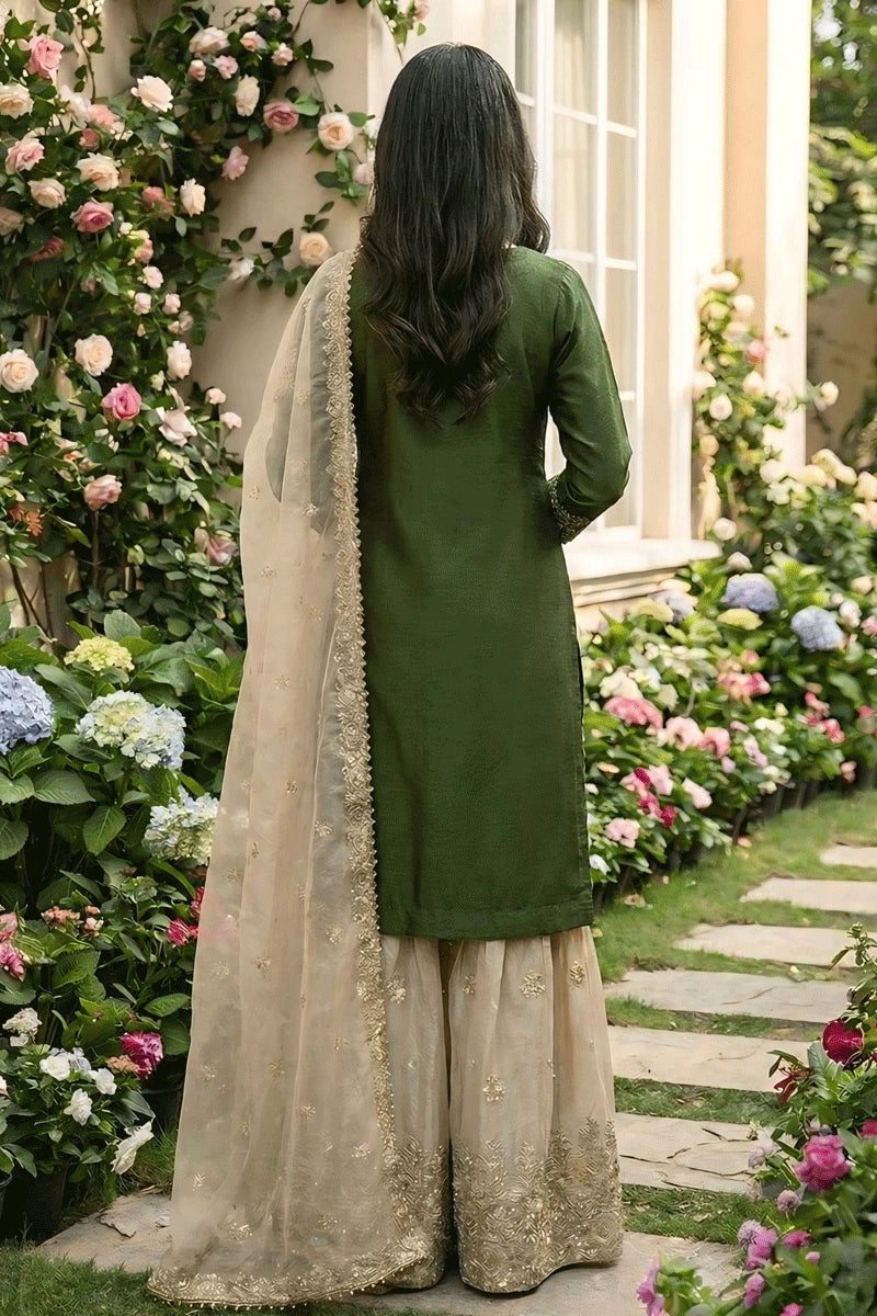 Celebration Ready Dress