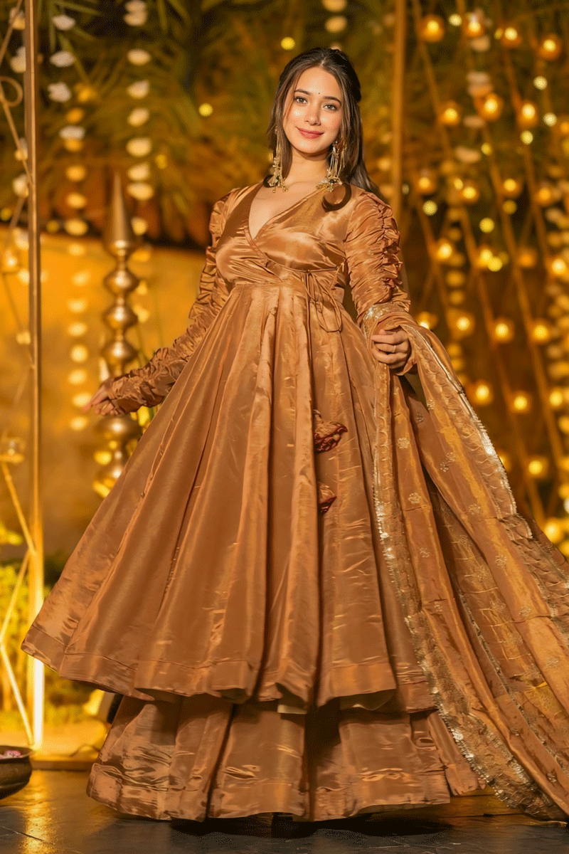 Elegant Anarkali Outfit