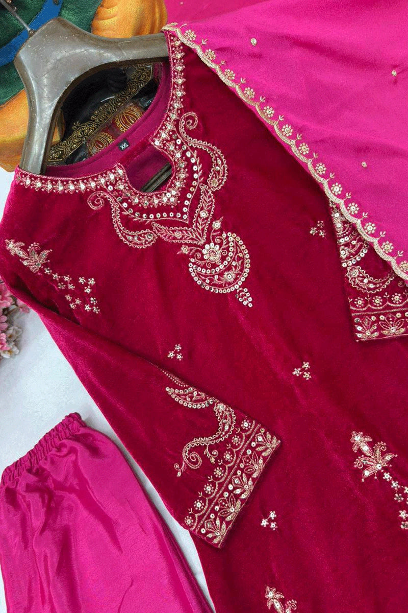 Elegant Pink Velvet Wedding Dress