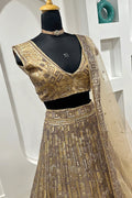 Elegant Sequins Lehenga