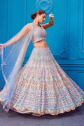 Elegant Soft Net Lehenga