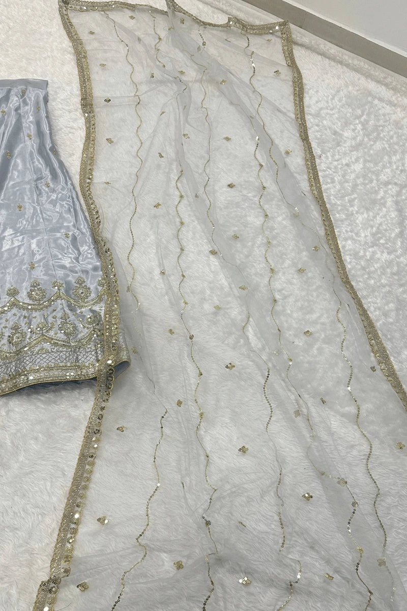 Engagement Special Lehenga Choli