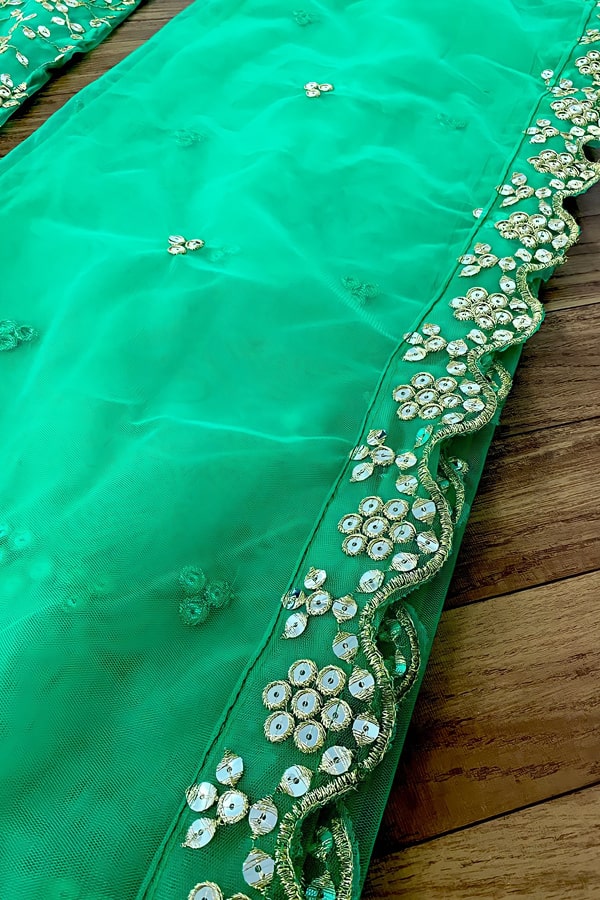 Full Net Green Color Lehenga