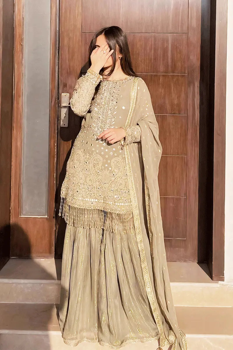 Georgette Punjabi Sharara Suits With Price - Anaya Designer Studio
