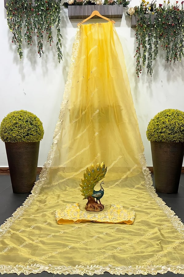 Haldi Ceremony Saree For Bride