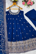 Heavy Embroidery Border Anarkali 