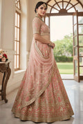 Heavy Embroidery Lehenga Choli