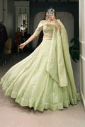 Light Green Lehenga Choli