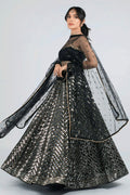 Occasion Wear Lehenga