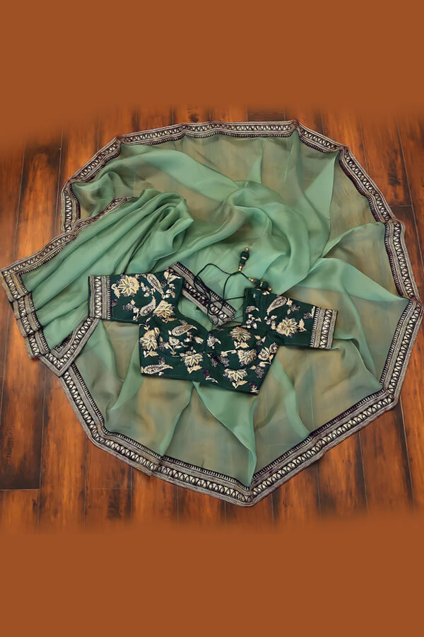 Organza saree with zari border for Ladies - Anaya Designer Studio