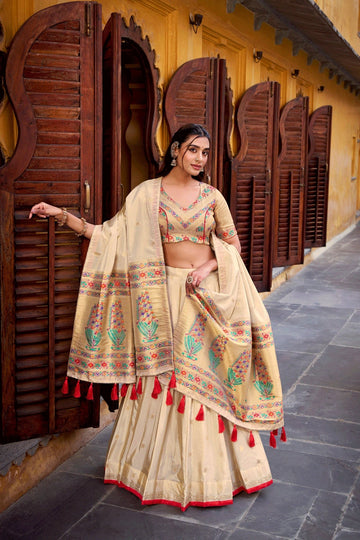 Paithani Chaniya Choli