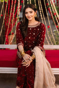 Pakistani Actress Look