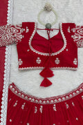 Sequence Embroidery Lehenga