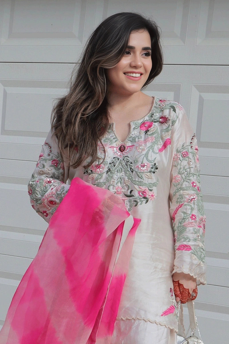 Pakistani Embroidery Dress