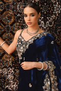 Sequence Work  Velvet Saree 