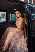 Sequins Work Lehenga
