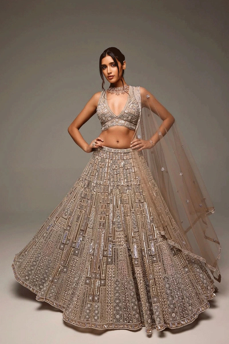 Sequins Work Lehenga Choli