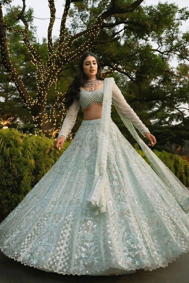 Soft net sequence lehenga