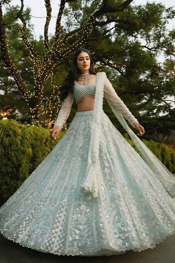 Soft net sequence lehenga