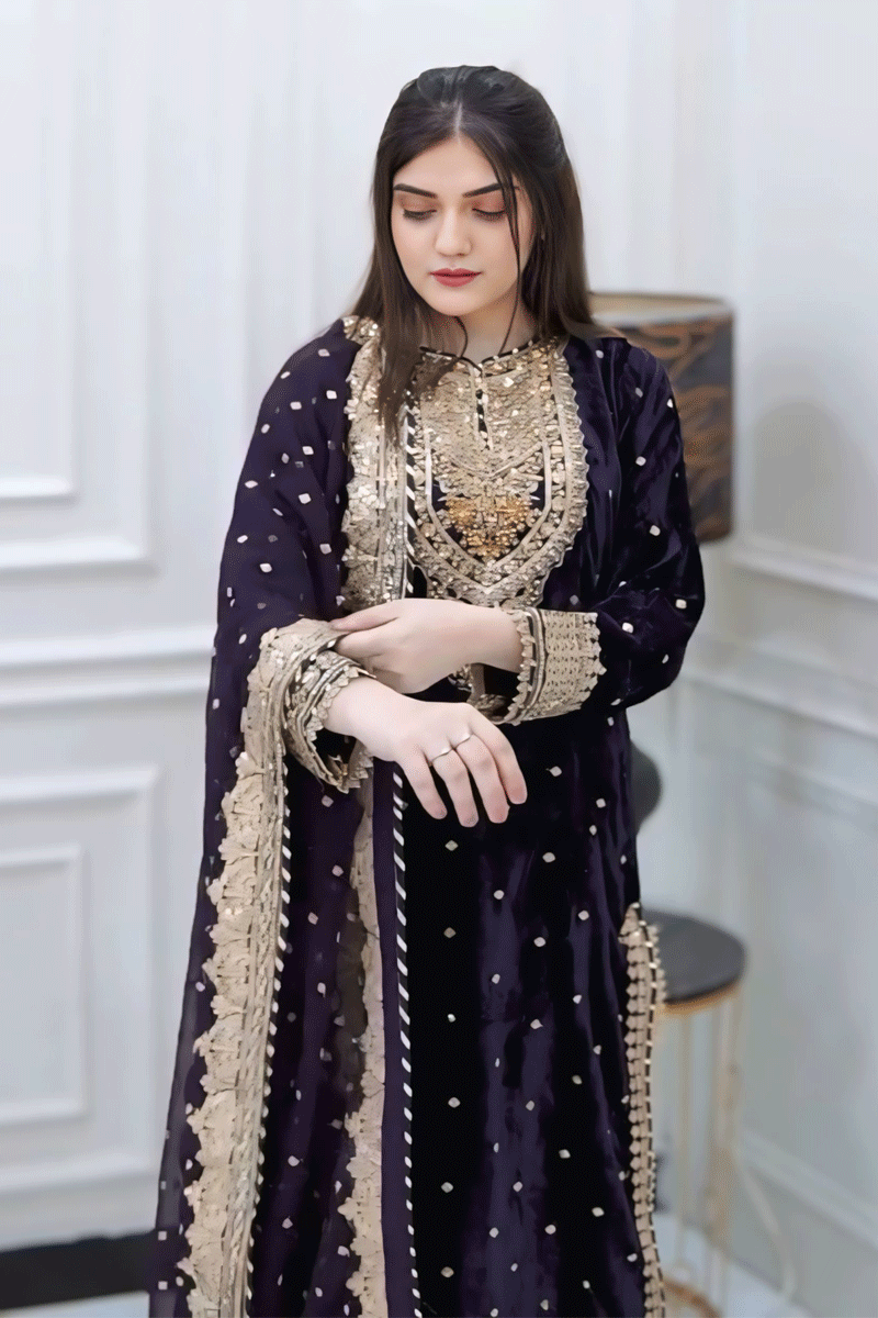 Velvet Full Sleeve Dress with Rich Embroidery