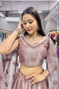 butterfly style leehenga choli for girls