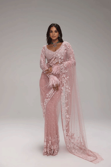 designer butterfly net saree