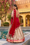 party wear lehenga for wedding guest