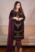 punjabi style velvet suit 