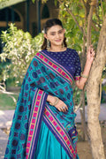 south indian pavadai davani for girls