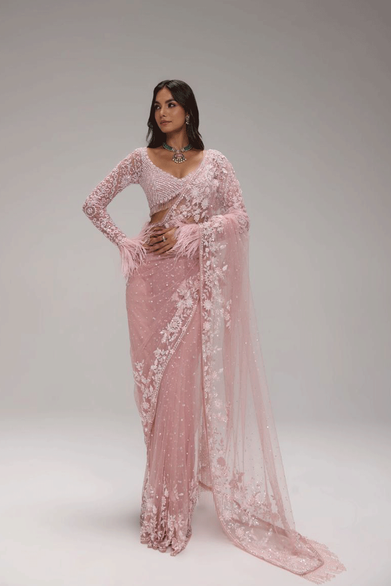 designer butterfly net saree