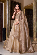 trendy embroidery lehenga design