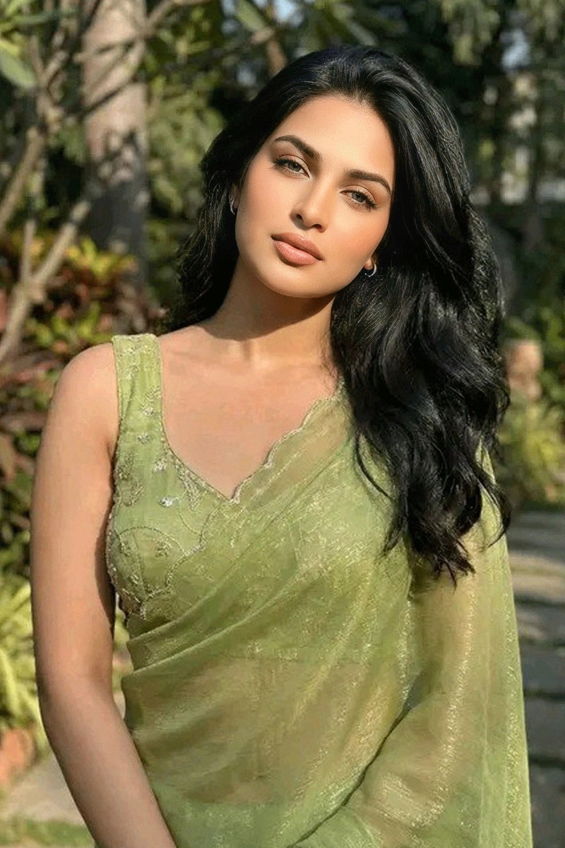 twill net saree for party