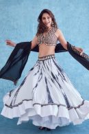 Madhuri dixit lehenga in dance deewane 3