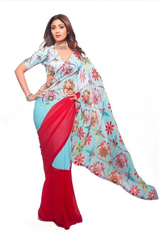 New saree design 2021 Images with price (2)