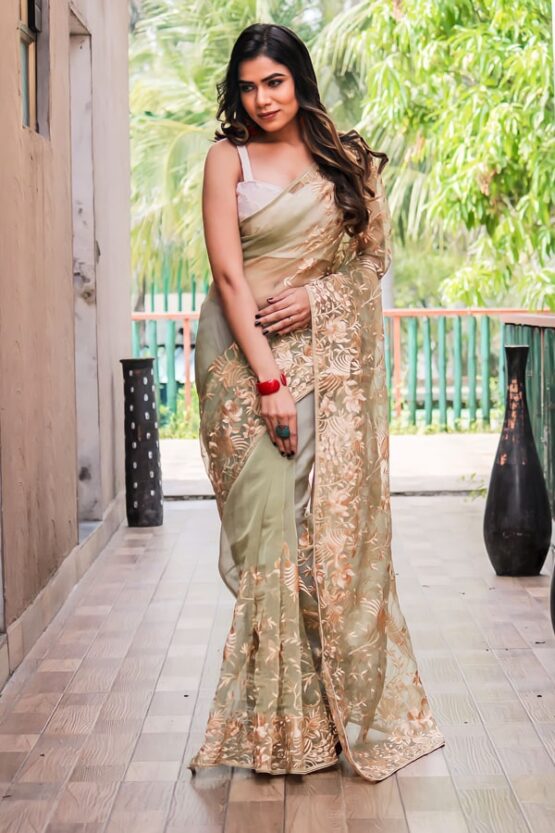 organza saree with embroidery
