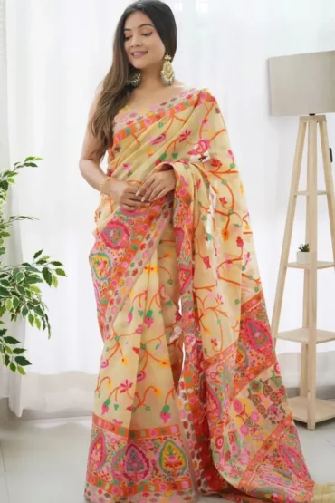 kashmiri silk saree poses for girl